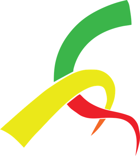 Student Activity Association, St. Louis School